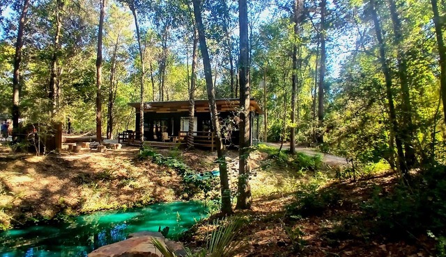 Creekside Cabin in a Magical Forest