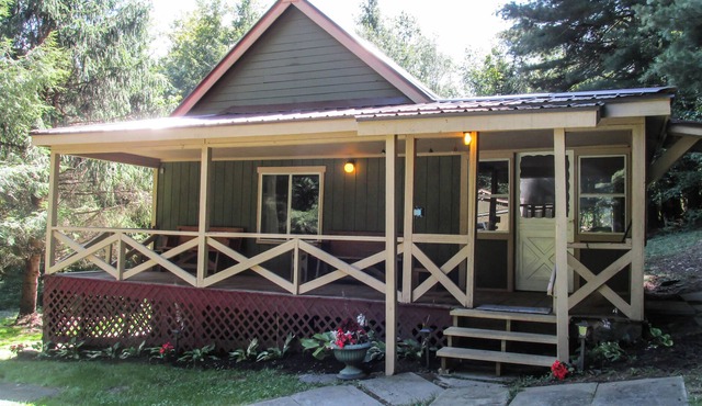 Creekside Cabin Near Salt Springs Park!