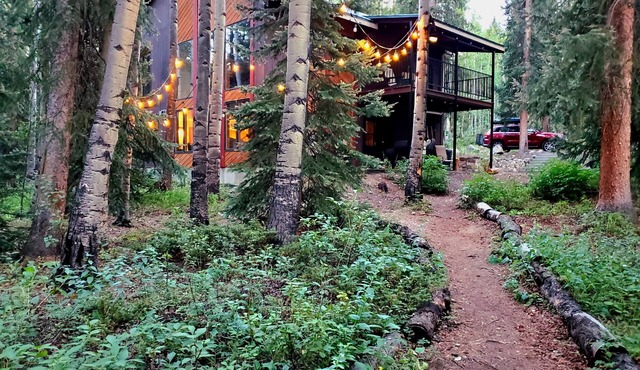 Creekside Cabin on Independence Pass between Twin Lakes and Aspen, Cozy + Nature