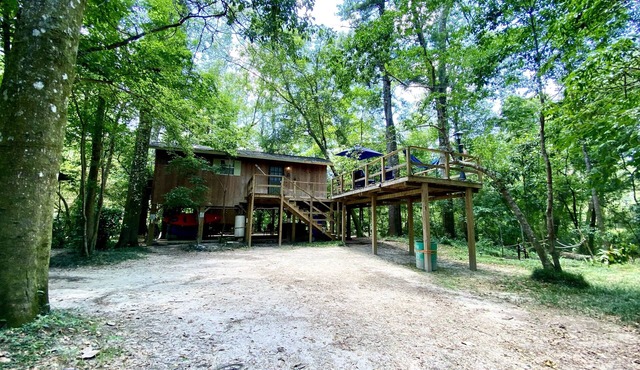 Creekside Cabin Retreat - 1000ft of creek front and sandbars