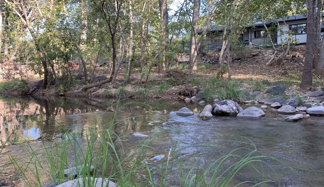 Creekside Cabin Under the Sycamores