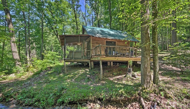 Creekside' Cabin w/Deck in Pisgah Forest!