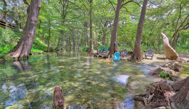 Creekside Cabins - The Texan | Studio Layout with Creek Access!