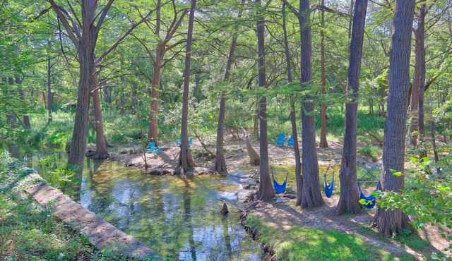 Creekside Cottage | Charming Cabin with Prime Creek Access