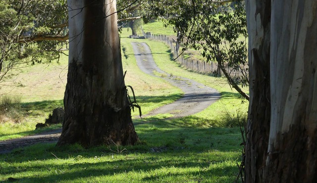 Creekside Cottage country escape, Rumbellara Farm