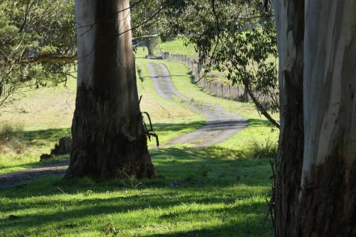 Creekside Cottage, country escape, Rumbellara farm