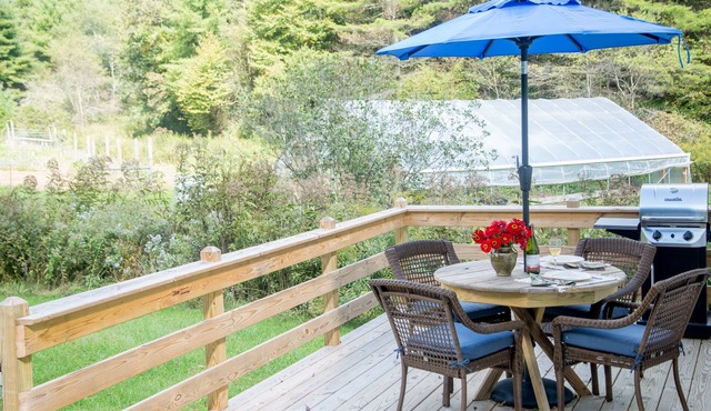 Creekside Cottage Near Floyd, VA, and Blue Ridge Parkway with deck and gas grill