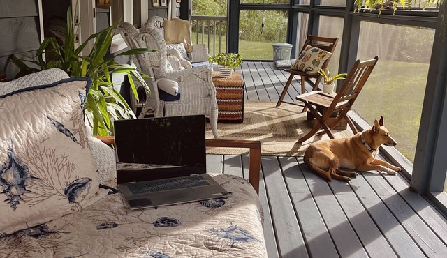 Creekside Cottage Near Nashville- Pet Friendly!