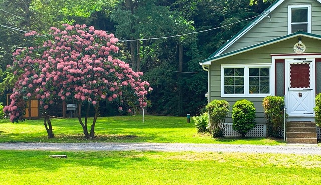 Creekside Cottage Next to Knoebels Amusement Resort. Large Yard, Fire Pit, Patio