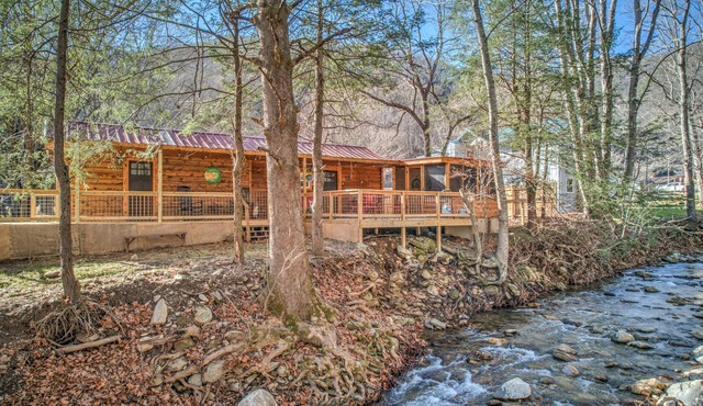 Creekside Cottage w/hot tub, fire pit, fishing