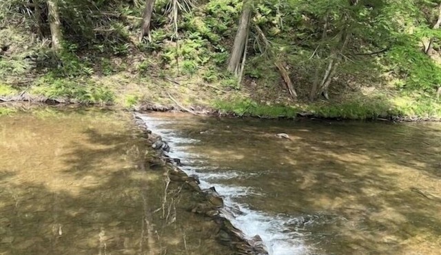 Creekside Cottages, Cottage #2, across from Knoebel's Amusement Resort!