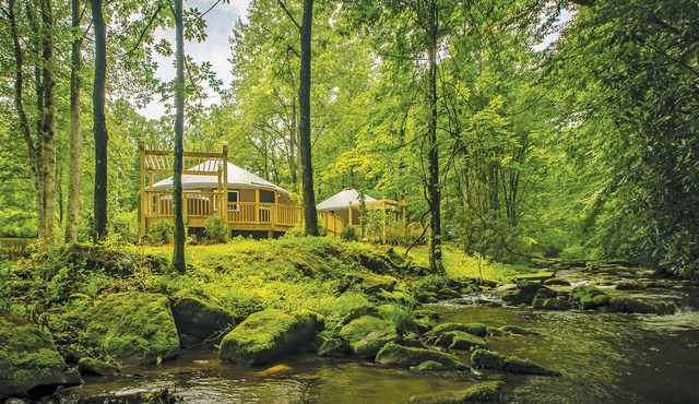 Creekside Cove Yurt - Creekside Glamping w/Private Hot Tub
