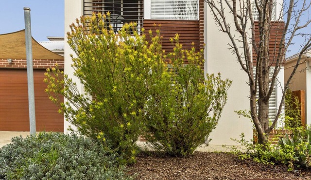 Creekside Curlewis- Family holiday house for 12. Wineries, Beaches, Parks