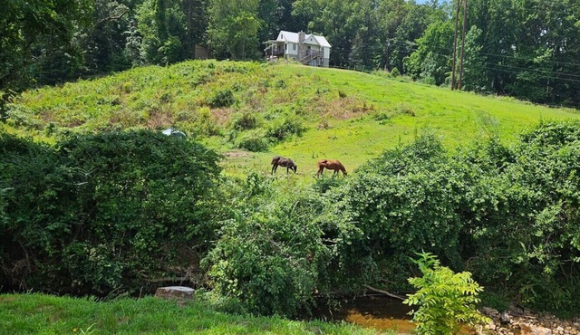 Creekside Delight-Lovely! 20 min to Asheville