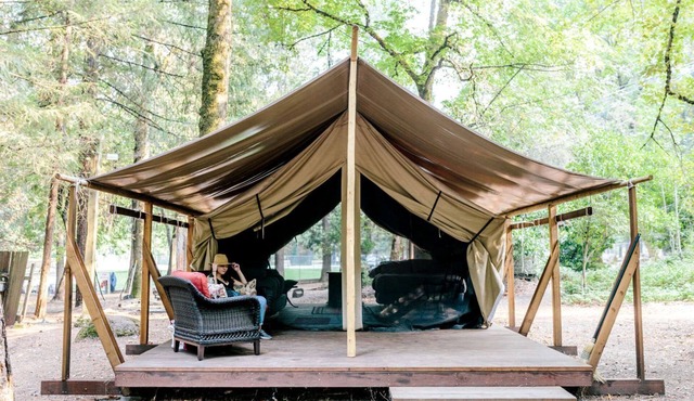 Creekside Furnished Tent with Exquisite Views of Cobb Mountain in California