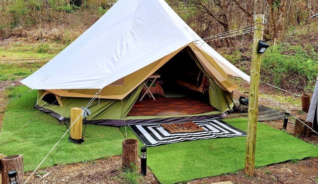 Creekside Glamping Heaven with Comfy Interior in Cosby, Tennessee