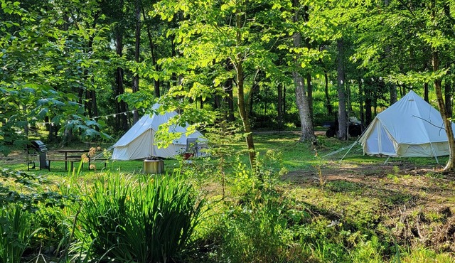 Creekside Group Glamp Site at Big Rock Creek!