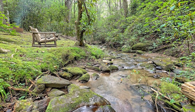 Creekside Hideaway is private with no steps close to the golf course/clubhouse