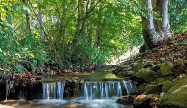 Creekside home with hot tub within 30 mins to Asheville