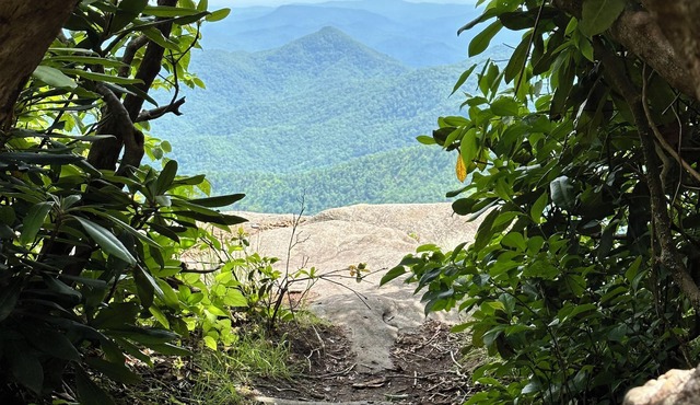 Creekside in the Smoky Mtns.nhas a rejuvenating quality. Something we all need!