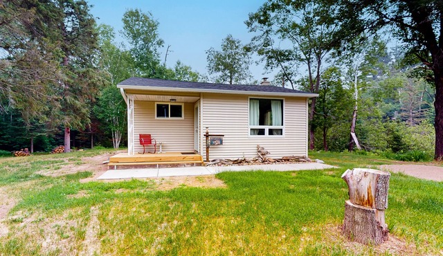 Creekside Living | House in Harshaw on Bearskin Creek with firepit & fireplace