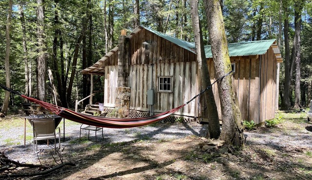 Creekside Log Cabin w/firepit, near quaint towns Thomas/Davis & many state parks