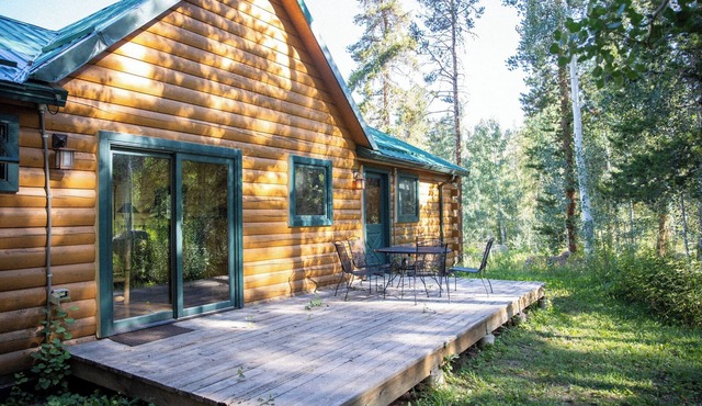 Creekside Log Cabin with Soaring Great Room at Dreamy Art & Nature Retreat