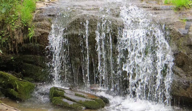 Creekside Mountain Retreat. Waterfall, pond, natural serenity, pet-friendly.