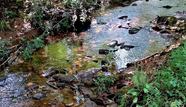 Creekside Retreat cozy studio with fitness center in charming Stockbridge