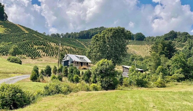 Creekside Retreat on 80 Acres- Hike, Fish & Relax