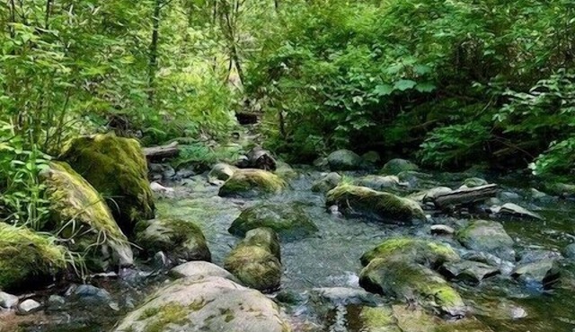 Creekside Retreat Pet-Friendly Fast WiFi 1mi Light Rail FIFA Zone & Family Ready