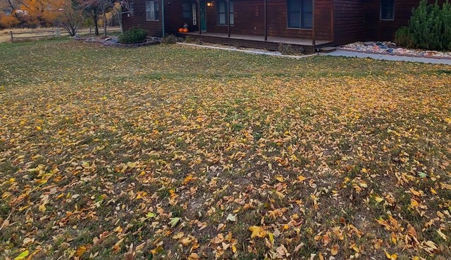 Creekside Retreat