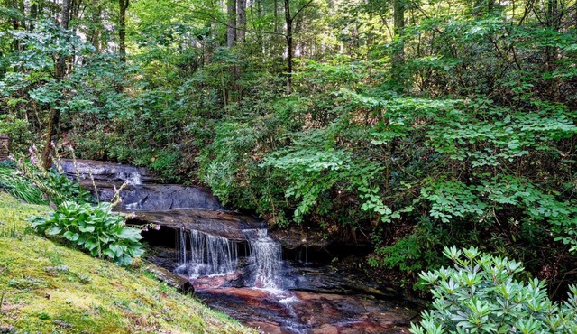 Creekside, spacious home for 8; 9 mi. Highlands, close Sky Valley, GA