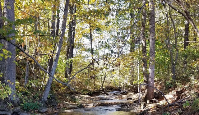 Creekside Stargazer Tent Farmstay