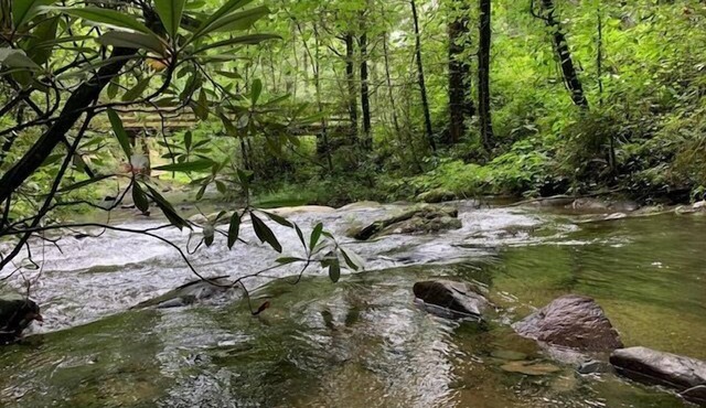 Creekside Storie.Waterfalls Hike Bike Waterfalls!, Creekside Storie. Hot Tub, Cohutta Forest, Hiking.