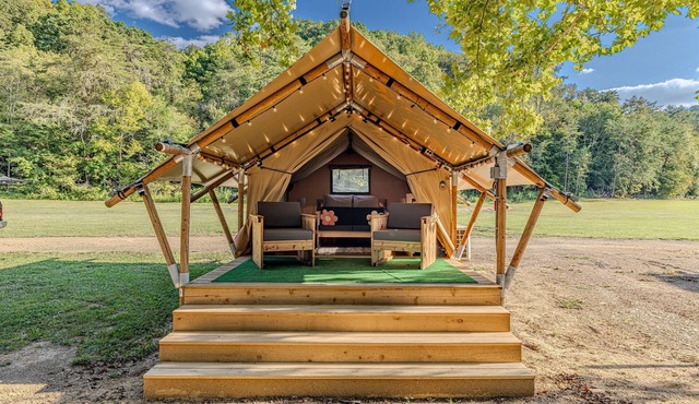 Creekside Tranquil Glamping in the Smokies|WiFi|AC