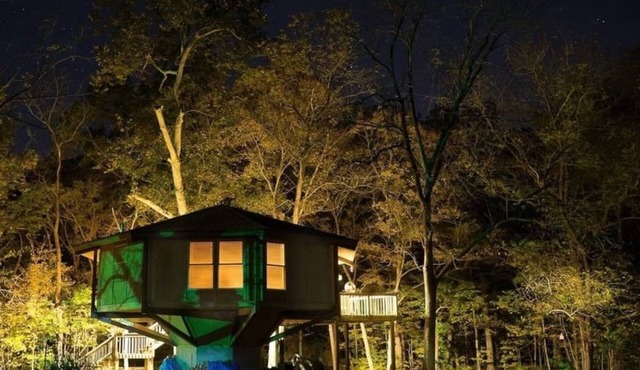 Creekside Treehouse-Hot Tub, Pets permitted