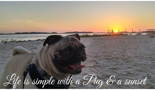 CRESCENT MOON: Perfect for families visiting for MILITARY GRADUATION!