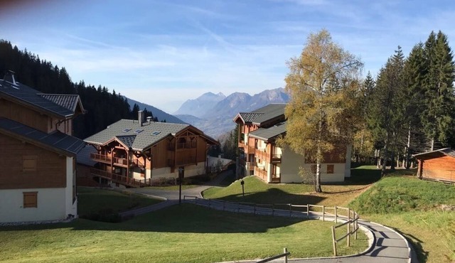 Crest-Voland, 300 m from the runs, shops in a residence of standing with a pool