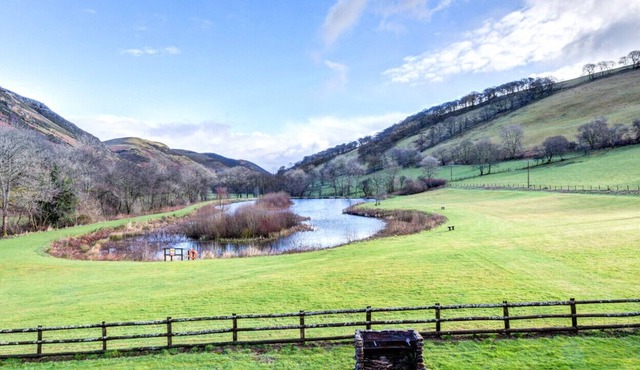 Creyr Glas - Heron 2