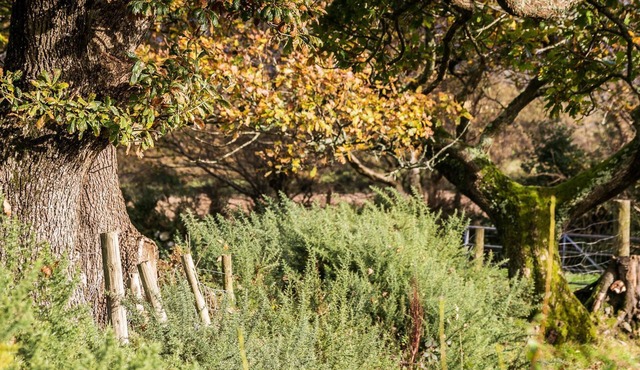 Crib y Nantlle - a snowdonia that sleeps 4 guests in 2 bedrooms