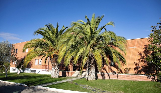 Cristo rey Pozuelo