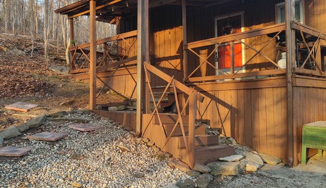 CRISTY'S CABIN - cozy and quaint - where the deer and the ants play!