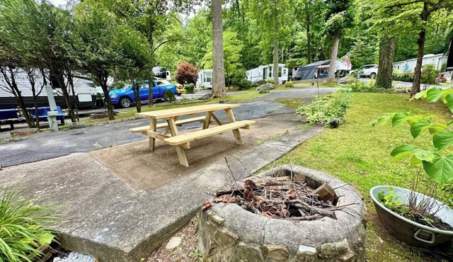 Crofty Bear - RV Campsite in Gatlinburg - Free WiFi & Full Hookups in RV Resort