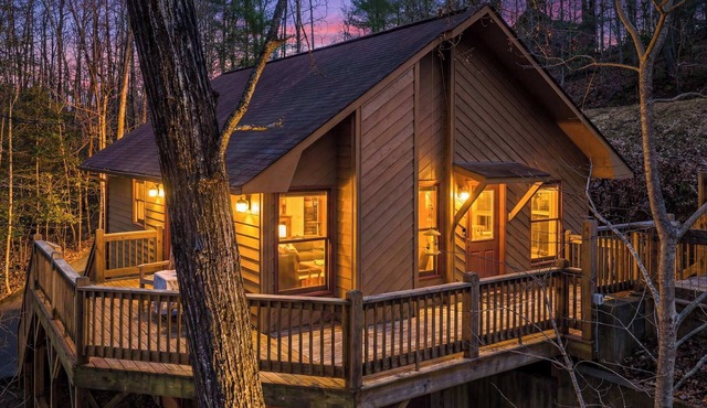 Crooked Lane Cabin - Murphy