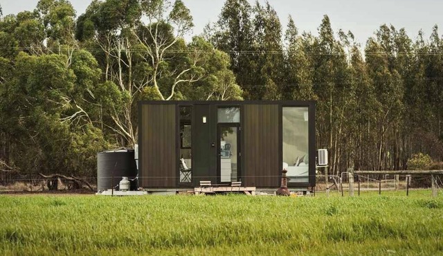 Crossing Pines by Tiny Away