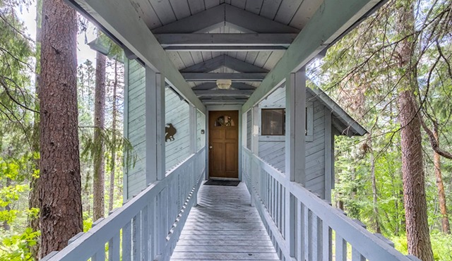 Crow`s Nest - Fun Treetop Design