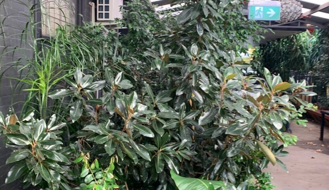 Crown Accommodation Bendigo CBD