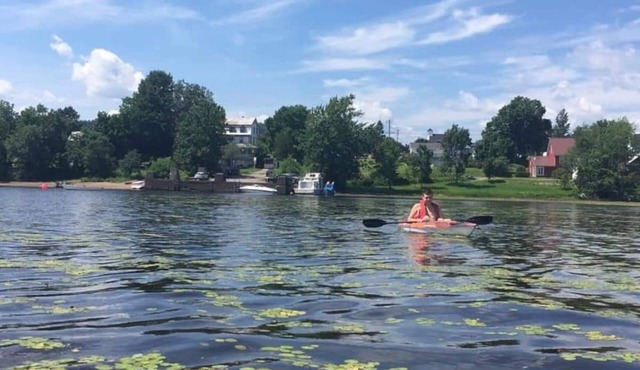 Cruise the St. John River