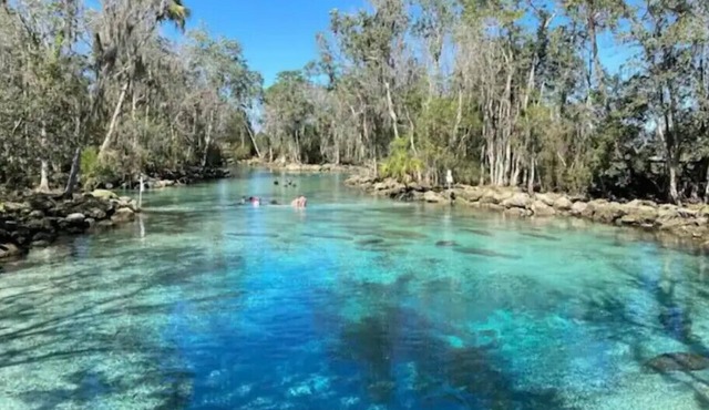 Crystal Cottage-walk to Manatees